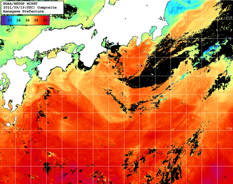 NOAA、MetOp 人工衛星画像 検索結果, 水温分布を図示