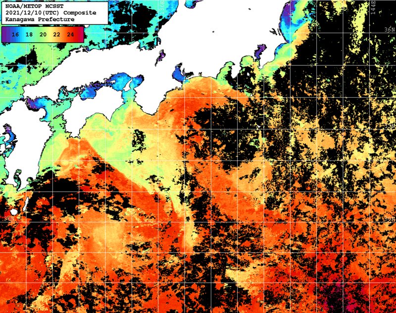 NOAA、MetOp 人工衛星画像 検索結果, 水温分布を図示