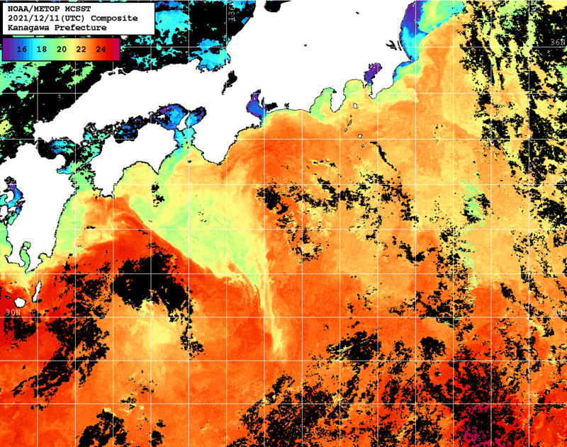 NOAA、MetOp 人工衛星画像 検索結果, 水温分布を図示