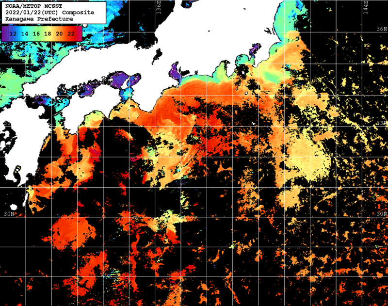 NOAA、MetOp 人工衛星画像 検索結果, 水温分布を図示