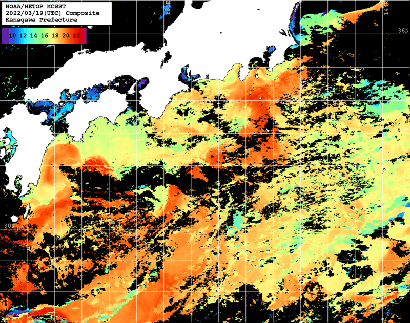 NOAA、MetOp 人工衛星画像 検索結果, 水温分布を図示