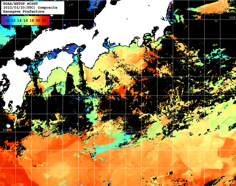 NOAA、MetOp 人工衛星画像 検索結果, 水温分布を図示
