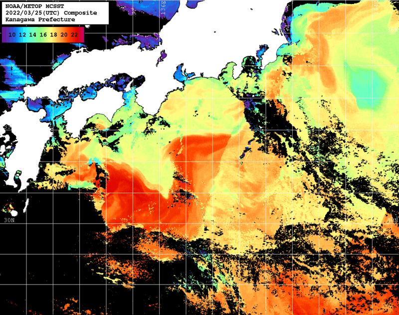 NOAA、MetOp 人工衛星画像 検索結果, 水温分布を図示