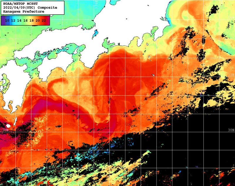 NOAA、MetOp 人工衛星画像 検索結果, 水温分布を図示