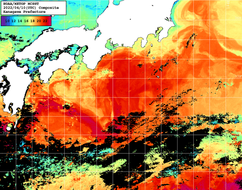 NOAA、MetOp 人工衛星画像 検索結果, 水温分布を図示