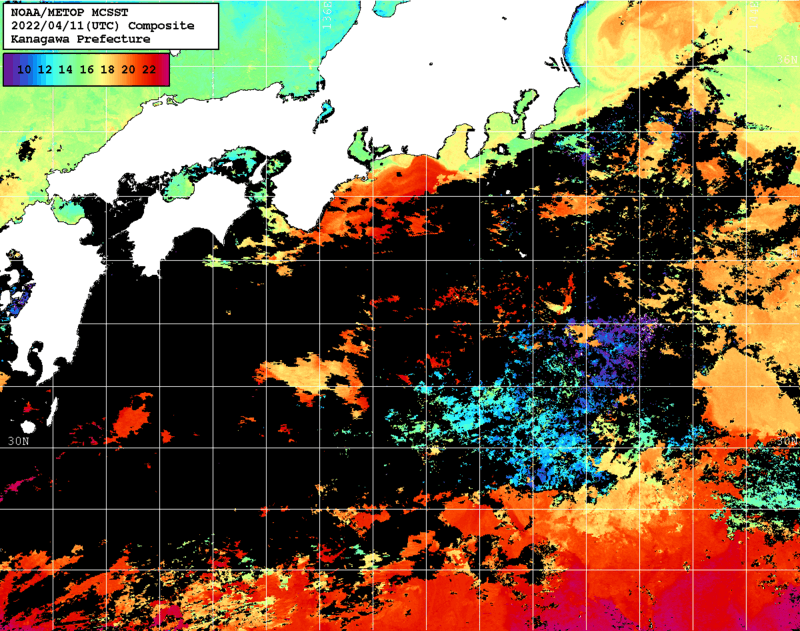 NOAA、MetOp 人工衛星画像 検索結果, 水温分布を図示
