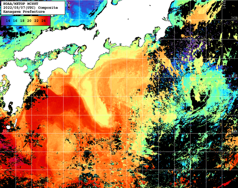 NOAA、MetOp 人工衛星画像 検索結果, 水温分布を図示