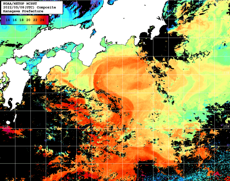 NOAA、MetOp 人工衛星画像 検索結果, 水温分布を図示