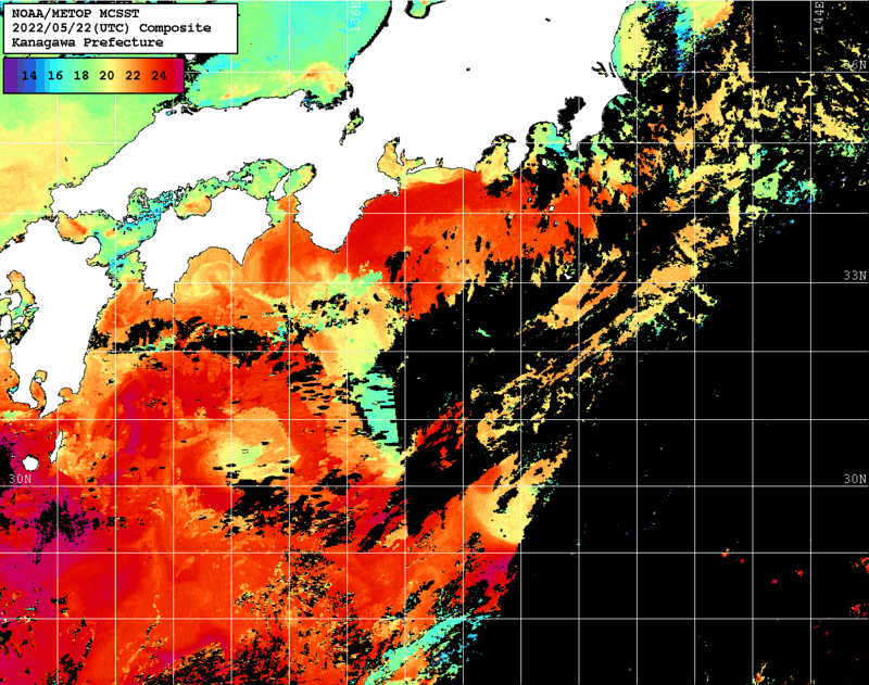 NOAA、MetOp 人工衛星画像 検索結果, 水温分布を図示