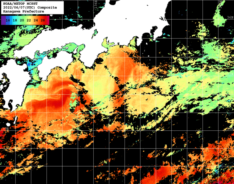 NOAA、MetOp 人工衛星画像 検索結果, 水温分布を図示