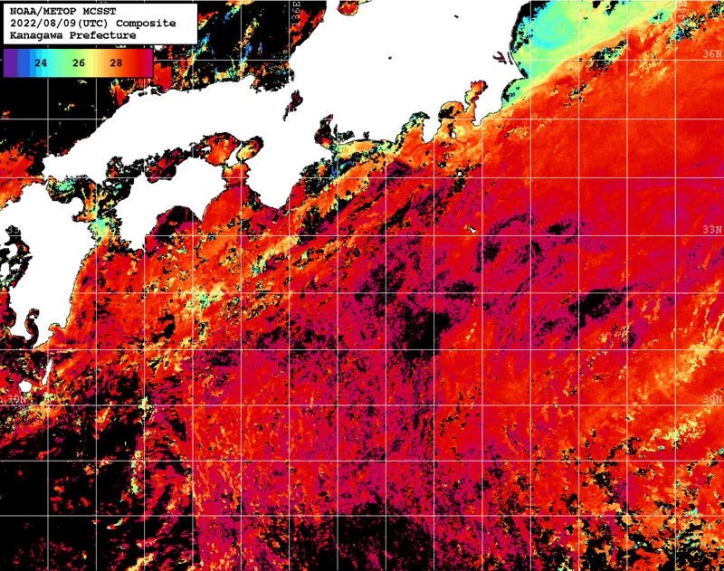 NOAA、MetOp 人工衛星画像 検索結果, 水温分布を図示