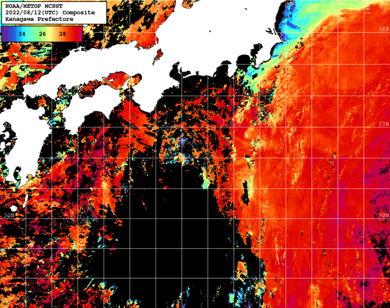 NOAA、MetOp 人工衛星画像 検索結果, 水温分布を図示