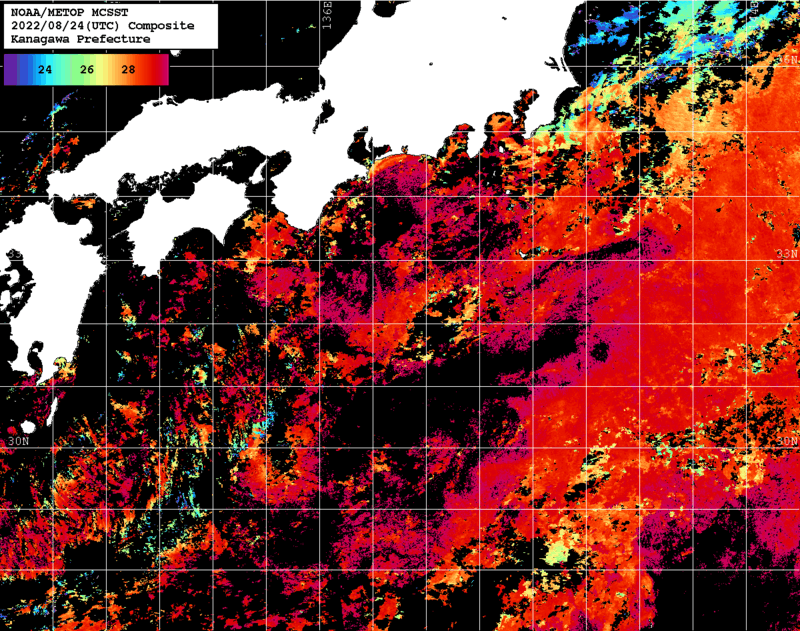 NOAA、MetOp 人工衛星画像 検索結果, 水温分布を図示