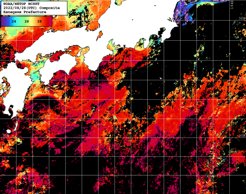 NOAA、MetOp 人工衛星画像 検索結果, 水温分布を図示