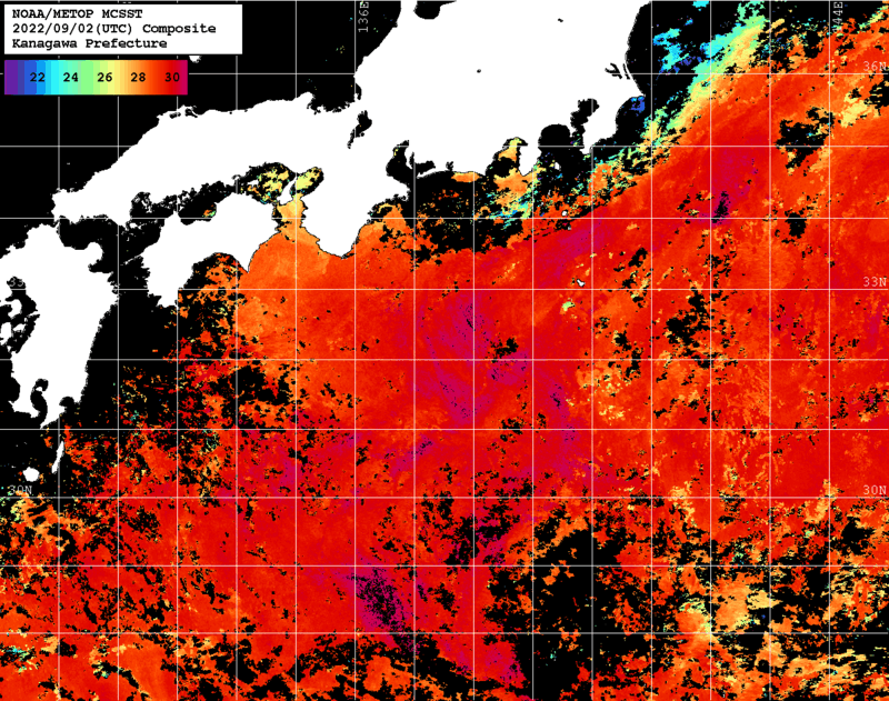 NOAA、MetOp 人工衛星画像 検索結果, 水温分布を図示