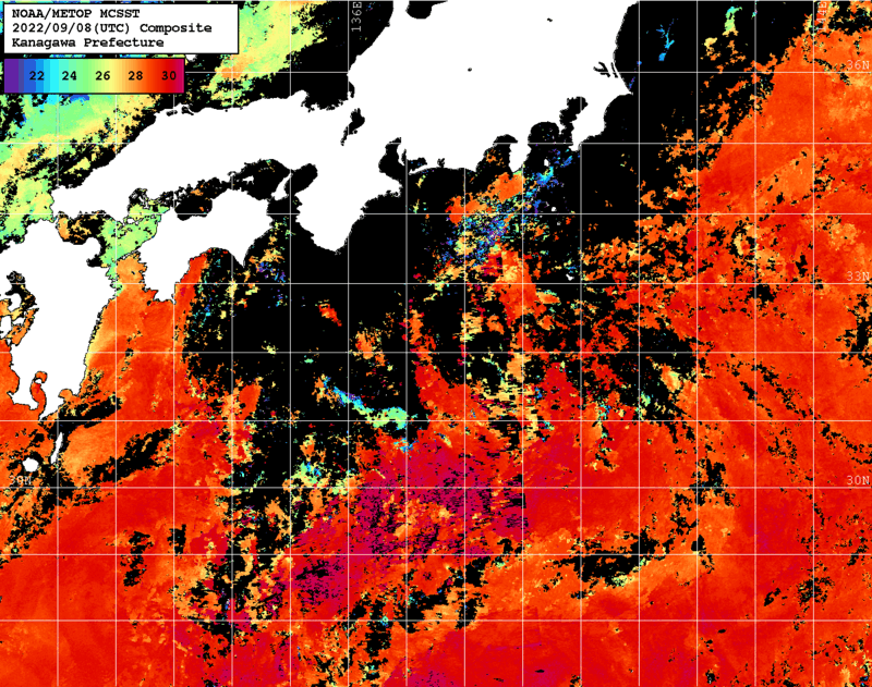 NOAA、MetOp 人工衛星画像 検索結果, 水温分布を図示