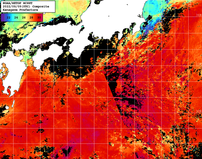 NOAA、MetOp 人工衛星画像 検索結果, 水温分布を図示