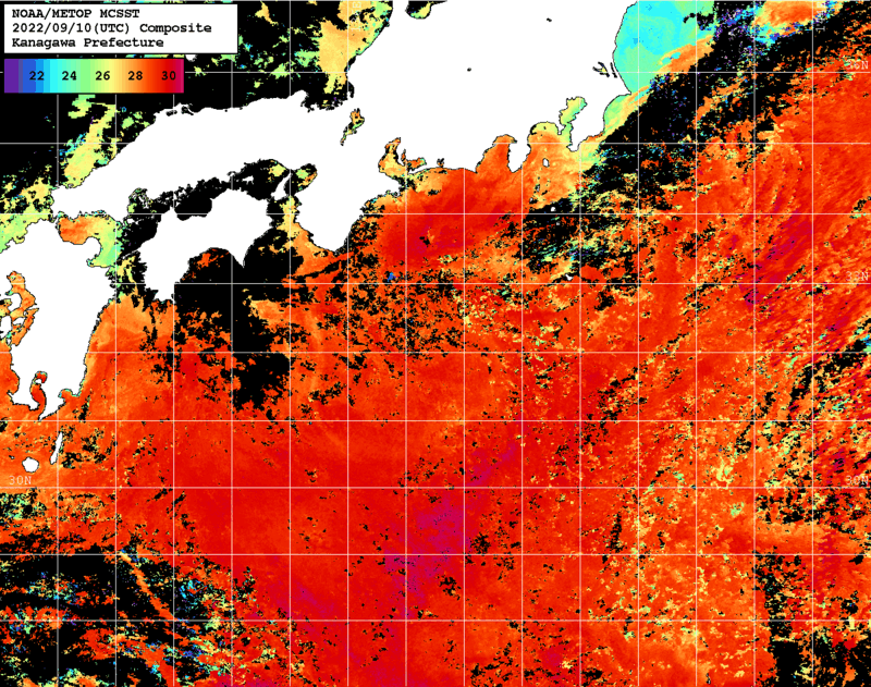 NOAA、MetOp 人工衛星画像 検索結果, 水温分布を図示