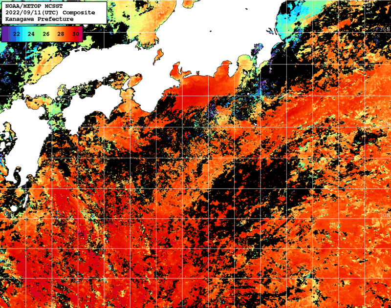 NOAA、MetOp 人工衛星画像 検索結果, 水温分布を図示