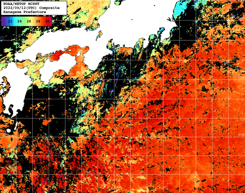 NOAA、MetOp 人工衛星画像 検索結果, 水温分布を図示