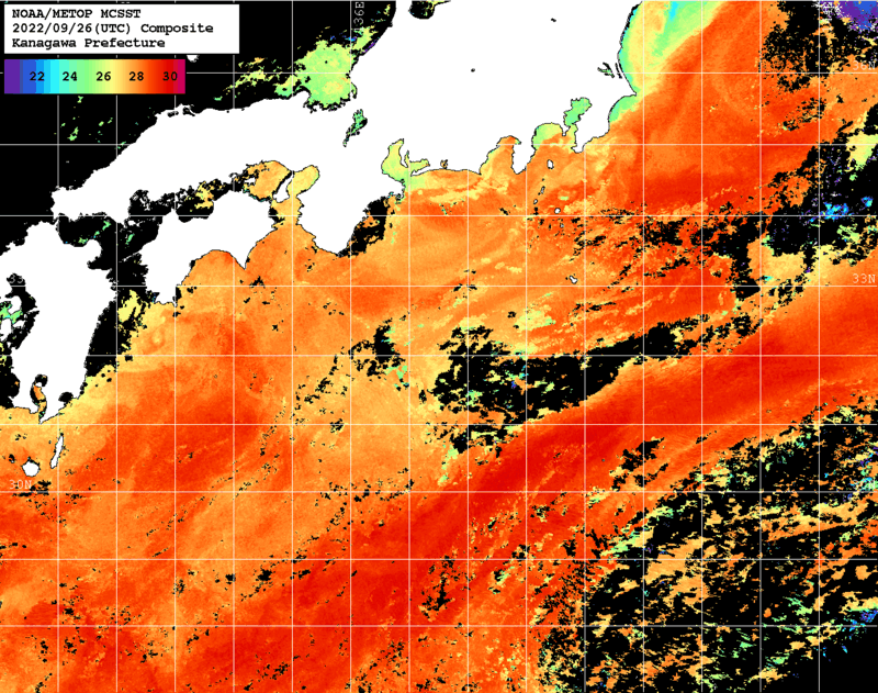 NOAA、MetOp 人工衛星画像 検索結果, 水温分布を図示
