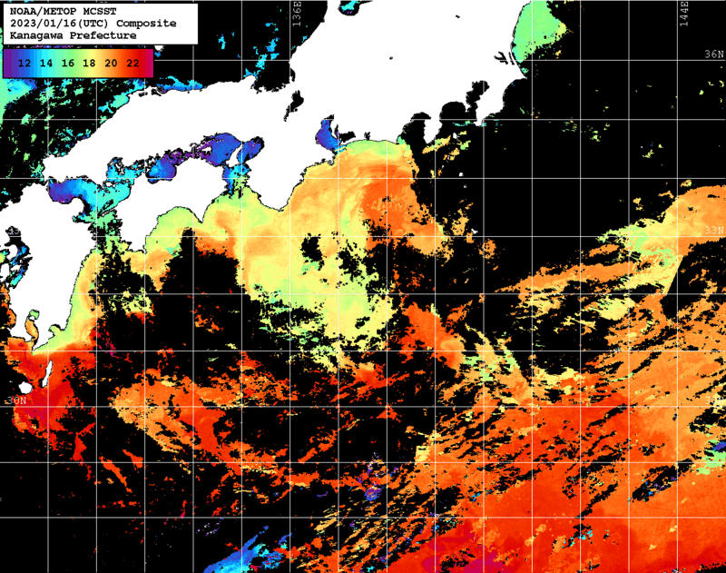 NOAA、MetOp 人工衛星画像 検索結果, 水温分布を図示