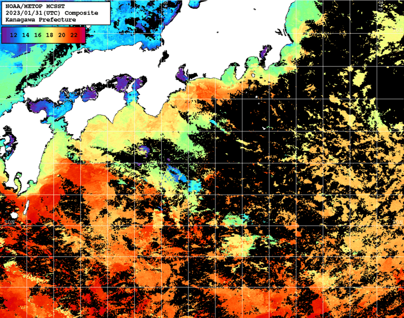NOAA、MetOp 人工衛星画像 検索結果, 水温分布を図示