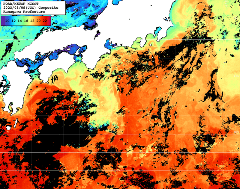 NOAA、MetOp 人工衛星画像 検索結果, 水温分布を図示