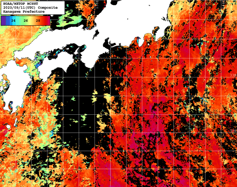 NOAA、MetOp 人工衛星画像 検索結果, 水温分布を図示