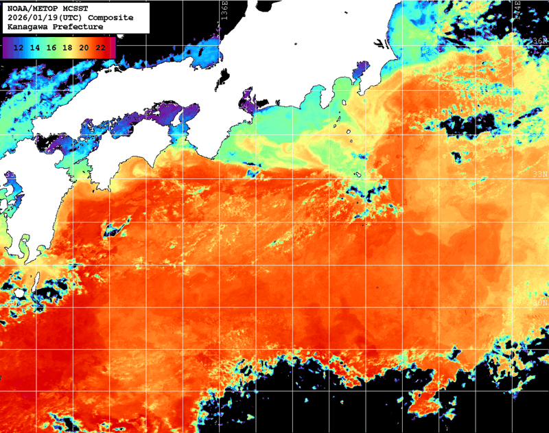 NOAA、MetOp 人工衛星画像 検索結果, 水温分布を図示