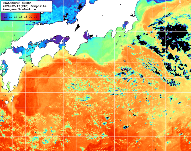 NOAA、MetOp 人工衛星画像 検索結果, 水温分布を図示