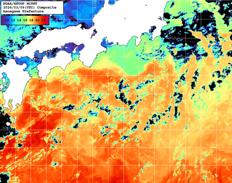 NOAA、MetOp 人工衛星画像 検索結果, 水温分布を図示