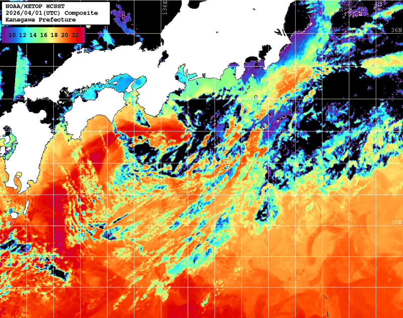NOAA、MetOp 人工衛星画像 検索結果, 水温分布を図示