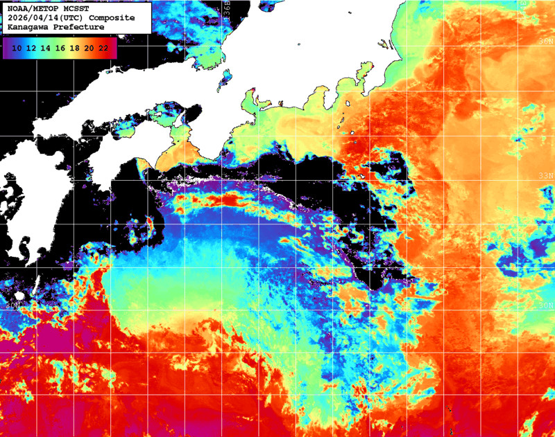 NOAA、MetOp 人工衛星画像 検索結果, 水温分布を図示