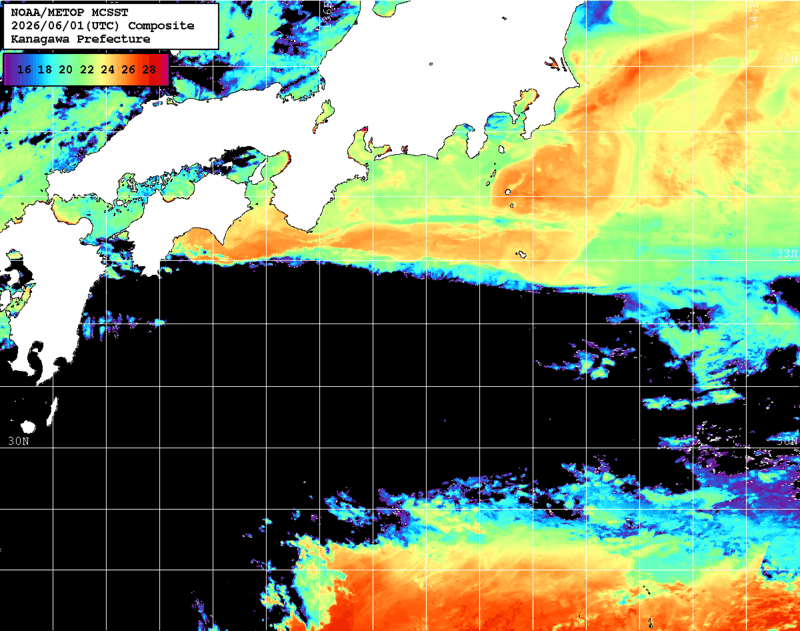 NOAA、MetOp 人工衛星画像 検索結果, 水温分布を図示