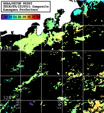 NOAA、MetOp 人工衛星画像 検索結果, 水温分布を図示