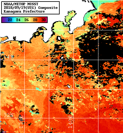 NOAA、MetOp 人工衛星画像 検索結果, 水温分布を図示