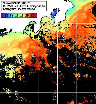 NOAA、MetOp 人工衛星画像 検索結果, 水温分布を図示