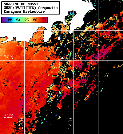 NOAA、MetOp 人工衛星画像 検索結果, 水温分布を図示