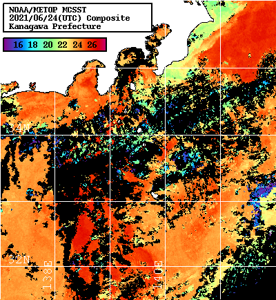 NOAA、MetOp 人工衛星画像 検索結果, 水温分布を図示