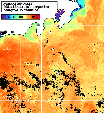 NOAA、MetOp 人工衛星画像 検索結果, 水温分布を図示