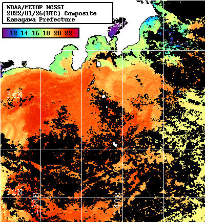 NOAA、MetOp 人工衛星画像 検索結果, 水温分布を図示