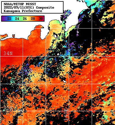 NOAA、MetOp 人工衛星画像 検索結果, 水温分布を図示