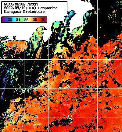NOAA、MetOp 人工衛星画像 検索結果, 水温分布を図示