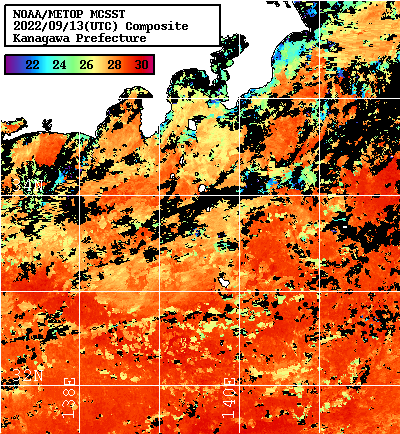 NOAA、MetOp 人工衛星画像 検索結果, 水温分布を図示