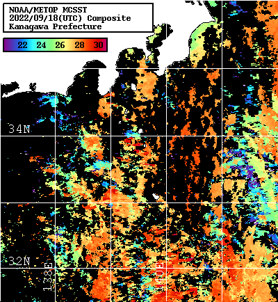 NOAA、MetOp 人工衛星画像 検索結果, 水温分布を図示