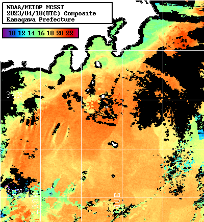 NOAA、MetOp 人工衛星画像 検索結果, 水温分布を図示
