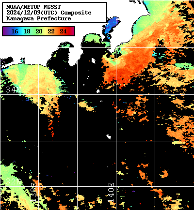 NOAA、MetOp 人工衛星画像 検索結果, 水温分布を図示