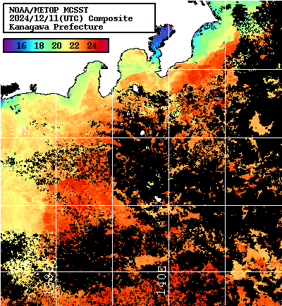NOAA、MetOp 人工衛星画像 検索結果, 水温分布を図示