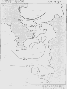 東京湾口海況図(1997/07/21)